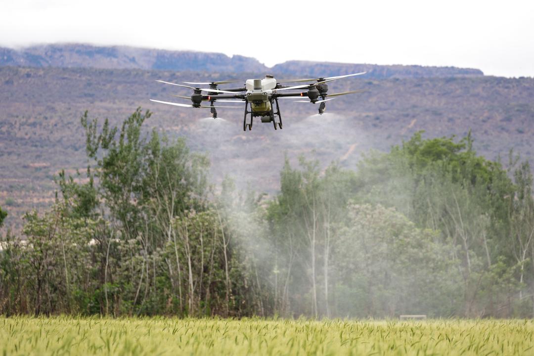 Pulverización con dron